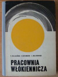 Zdjęcie nr 1 okładki Balasiński Tadeusz, Dziamara Henryk, Malinowski Leon Pracownia włókiennicza.