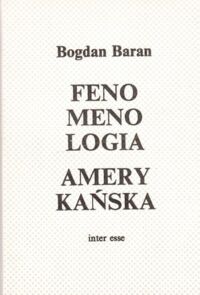 Miniatura okładki Baran Bogdan Fenomenologia amerykańska. Studium z pogranicza.