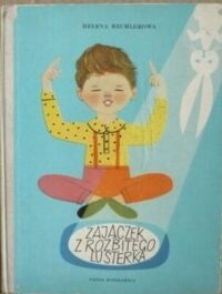 Miniatura okładki Bechlerowa Helena /ilustr. H. Czajkowska/ Zajączek z rozbitego lusterka.