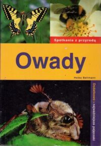 Miniatura okładki Bellmann Heiko Owady. Dodatkowo: najważniejsze pajęczaki.