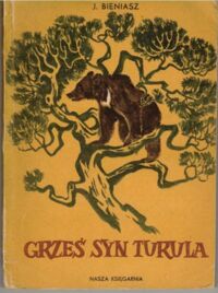 Miniatura okładki Bieniasz J. Grześ syn Turula.
