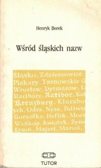 Miniatura okładki Borek Henryk Wśród śląskich nazw.