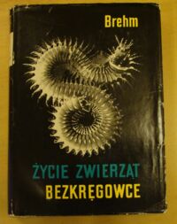 Zdjęcie nr 1 okładki Brehm Alfred Życie zwierząt. Bezkręgowce.