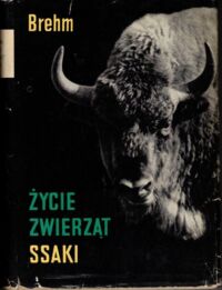 Zdjęcie nr 1 okładki Brehm Alfred Życie zwierząt. Ssaki.