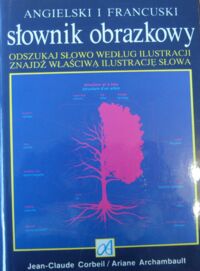 Zdjęcie nr 1 okładki Corbeil Jean-Claude, Archambault Ariane  Angielski i francuski słownik obrazkowy.