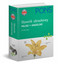 Miniatura okładki Corbeil Jean-Claude, Archambault Ariane Słownik obrazkowy polski-angielski. 20 000 haseł.