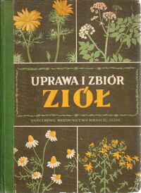Miniatura okładki Cybulska H., Janiocka H., Wiszniewski J., Wysocka A. Uprawa i zbiór ziół.
