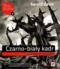 Miniatura okładki Davis Harold Czarno - biały kadr. Kreatywna fotografia.