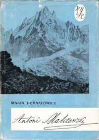 Zdjęcie nr 1 okładki Dernałowicz Maria Antoni Malczewski.