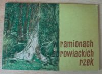 Miniatura okładki Dzianisz Paweł W ramionach borowiackich rzek.