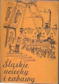 Zdjęcie nr 1 okładki Floreńska-Bukowska Irena /red./ Śląskie uciechy i zabawy.