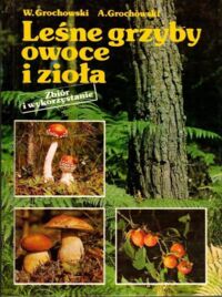 Miniatura okładki Grochowski Wiesław, Grochowski Andrzej Leśnie grzyby owoce i zioła.