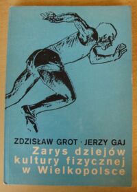 Miniatura okładki Grot Zdzisław, Gaj Jerzy Zarys dziejów kultury fizycznej w Wielkopolsce. /Biblioteka Kroniki Miasta Poznania/