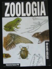 Miniatura okładki Hempel-Zawistowska Jolanta Zoologia dla uczelni rolniczych.