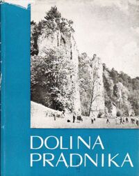 Miniatura okładki Hermanowicz Henryk Dolina Prądnika. /Piękno Polski/