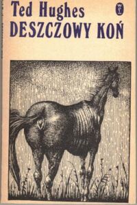 Miniatura okładki Hughes Ted /ilustr., Jerzy Duda-Gracz/ Deszczowy koń i inne opowiadania.