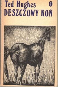 Zdjęcie nr 1 okładki Hughes Ted /ilustr., Jerzy Duda-Gracz/ Deszczowy koń i inne opowiadania.