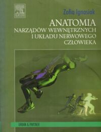 Miniatura okładki Ignasiak Zofia Anatomia narządów wewnętrznych i układu nerwowego człowieka. 