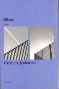 Miniatura okładki Jankowicz Grzegorz  Blizny.