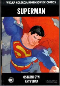 Miniatura okładki Johns Geoff, Donner Richard Superman. Ostatni syn Kryptona. /Wielka Kolekcja Komiksów DC Comics/