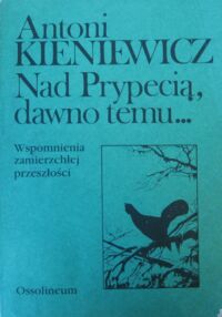 Miniatura okładki Kieniewicz Antoni Nad Prypecią, dawno temu... Wspomnienia zamierzchłej przeszłości.