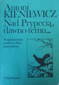 Zdjęcie nr 1 okładki Kieniewicz Antoni Nad Prypecią, dawno temu... Wspomnienia zamierzchłej przeszłości.