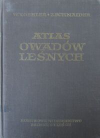 Miniatura okładki Koehler Witold, Schnaider Zbigniew Atlas owadów leśnych.