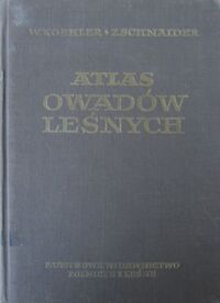 Zdjęcie nr 1 okładki Koehler Witold, Schnaider Zbigniew Atlas owadów leśnych.