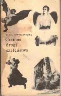 Zdjęcie nr 1 okładki Kowalczykowa Alina Ciemne drogi szaleństwa. /Biblioteka Romantyczna/