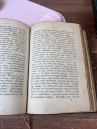 Zdjęcie nr 3 okładki /Koźmian Stanisław Egbert/ Podróż nad Rennem i w Szwajcaryi (w 1846 roku odbyta).