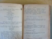 Zdjęcie nr 2 okładki Krasiński Zygmunt Pisma. Z portretem autora. Tom I-II. /Nowa Biblioteka Pisarzy Polskich. Tom IX-X/
