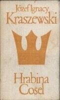 Miniatura okładki Kraszewski Józef Ignacy Hrabina Cosel. Powieść historyczna. /Biblioteka Klasyki Polskiej i Obcej/