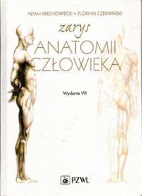 Miniatura okładki Krechowiecki Adam, Czerwiński Florian Zarys anatomii człowieka. 