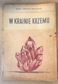 Zdjęcie nr 1 okładki Krzywobłocka Róża W krainie krzemu.