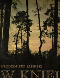 Zdjęcie nr 1 okładki Łapiński Włodzimierz W kniei. 