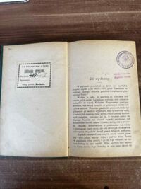 Zdjęcie nr 2 okładki Lipiński Tymoteusz Zapiski z lat 1825-1831. 