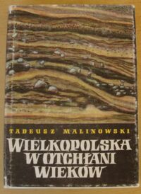 Zdjęcie nr 1 okładki Malinowski Tadeusz Wielkopolska w otchłani wieków.