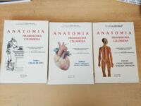 Miniatura okładki Marcinak Tadeusz Dr nauk med. Anatomia prawidłowa człowieka. Podręcznik dla studentów i lekarzy medycyny. Tom I.: Układ ruchu. Tom II.: Nauka o trzewach. Nauka o naczyniach. Tom III.: Układ nerwowy. Narządy zmysłów.