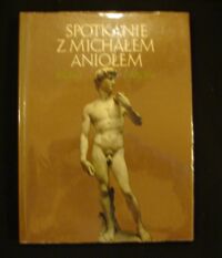 Zdjęcie nr 1 okładki Nardini Bruno Spotkanie z Michałem Aniołem.