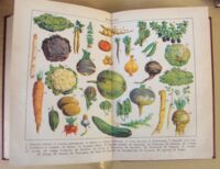 Zdjęcie nr 2 okładki Ochorowicz-Monatowa Marja Uniwersalna książka kucharska z ilustracjami i kolorowymi tablicami. Wydanie znacznie powiększone.