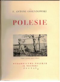 Miniatura okładki Ossendowski F. Antoni Polesie. /Cuda Polski/