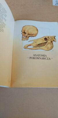Zdjęcie nr 2 okładki Parramon Jose M. Anatomia człowieka.