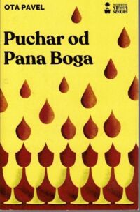 Zdjęcie nr 1 okładki Pavel Ota Puchar od Pana Boga.