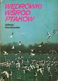 Miniatura okładki Pawłowski Wiktor	 Wędrówki wśród ptaków.	