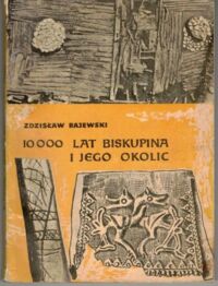 Zdjęcie nr 1 okładki Rajewski Zdzisław 10000 lat Biskupina i okolic.