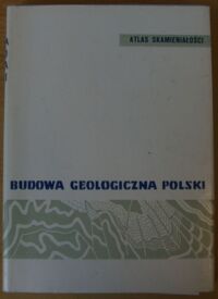 Zdjęcie nr 1 okładki Ruhle Wanda i Edward Budowa geologiczna Polski. Tom III. Atlas skamieniałości przewodnich i charakterystycznych. Część 3b. Kenozoik. Czwartorzęd.