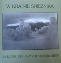 Zdjęcie nr 1 okładki Sakwerda Jan W krainie Śnieżnika. Pejzażyści Ziemi Kłodzkiej pierwszej połowy XX wieku. Katalog wystawy.