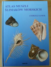 Miniatura okładki Samek Andrzej Atlas muszli ślimaków morskich.