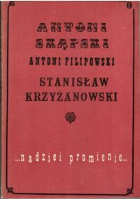 Zdjęcie nr 1 okładki Skąpski A., Filipowski A., Krzyżanowski S. Nadziei promienie. Trzy pamiętniki z XIX wieku.