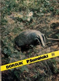 Miniatura okładki Sumiński Piotr Borsuk.